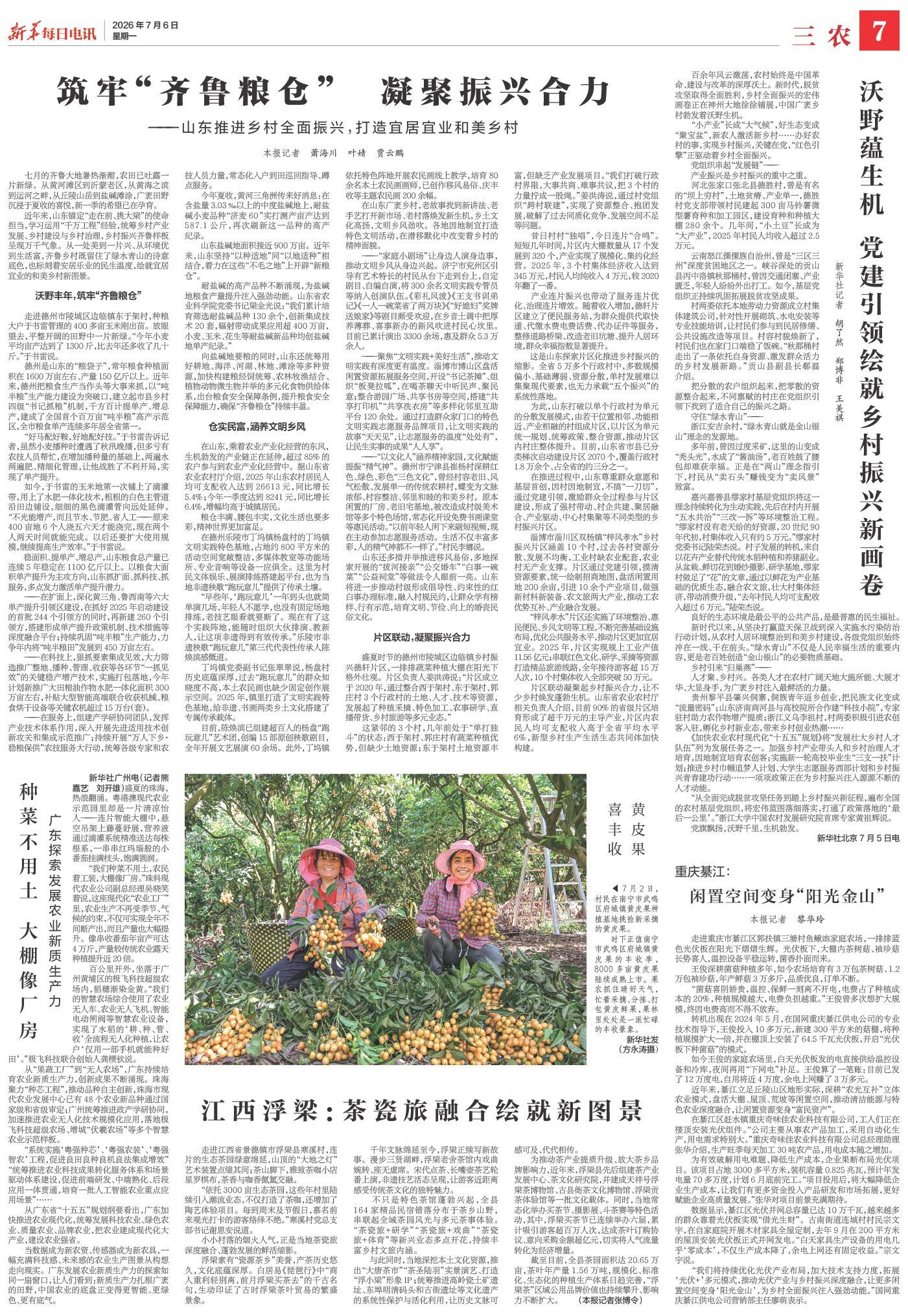 筑牢“齐鲁粮仓” 凝聚振兴合力——山东推进乡村全面振兴,打造宜居宜业和美乡村