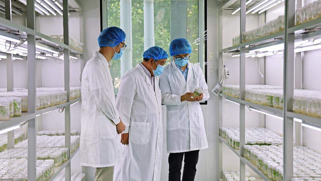泗水食品产业打破壁垒，聚力融合，一条链上抱团发展