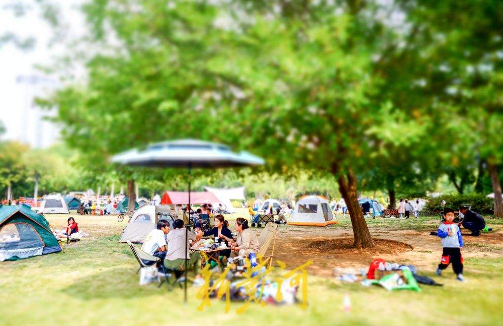 明迎“寒露”不算“寒”，本周济南平均气温较常年同期偏高