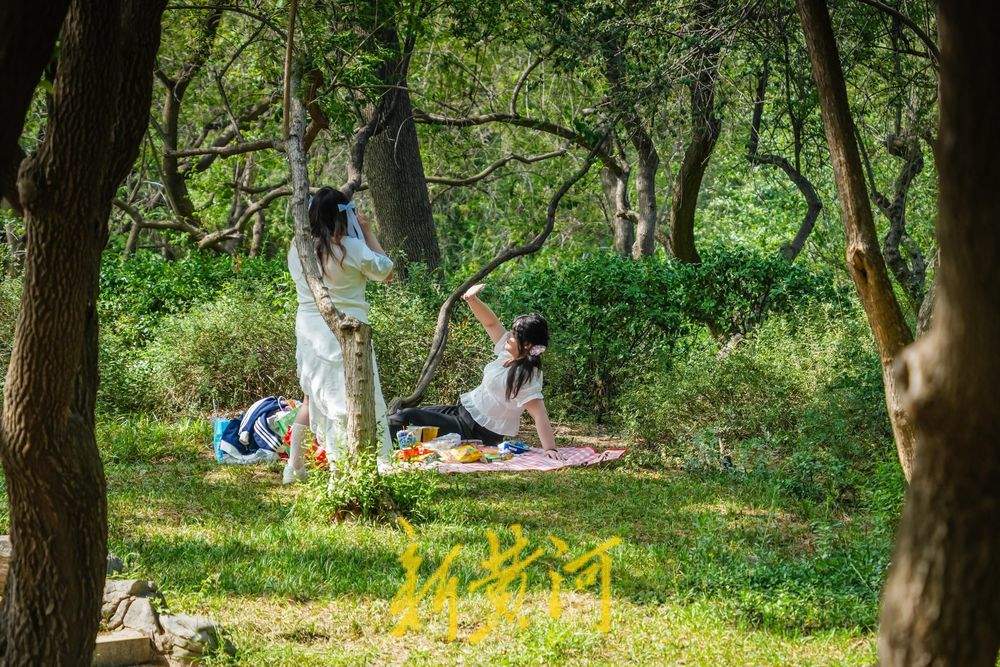 一年四季 泉在济南｜泉城公园露营热潮涌动 市民解锁城市“慢生活”新体验