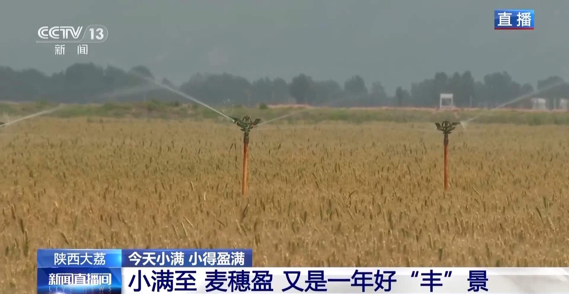 小满已到 该吃什么玩什么？小满时节全攻略来了