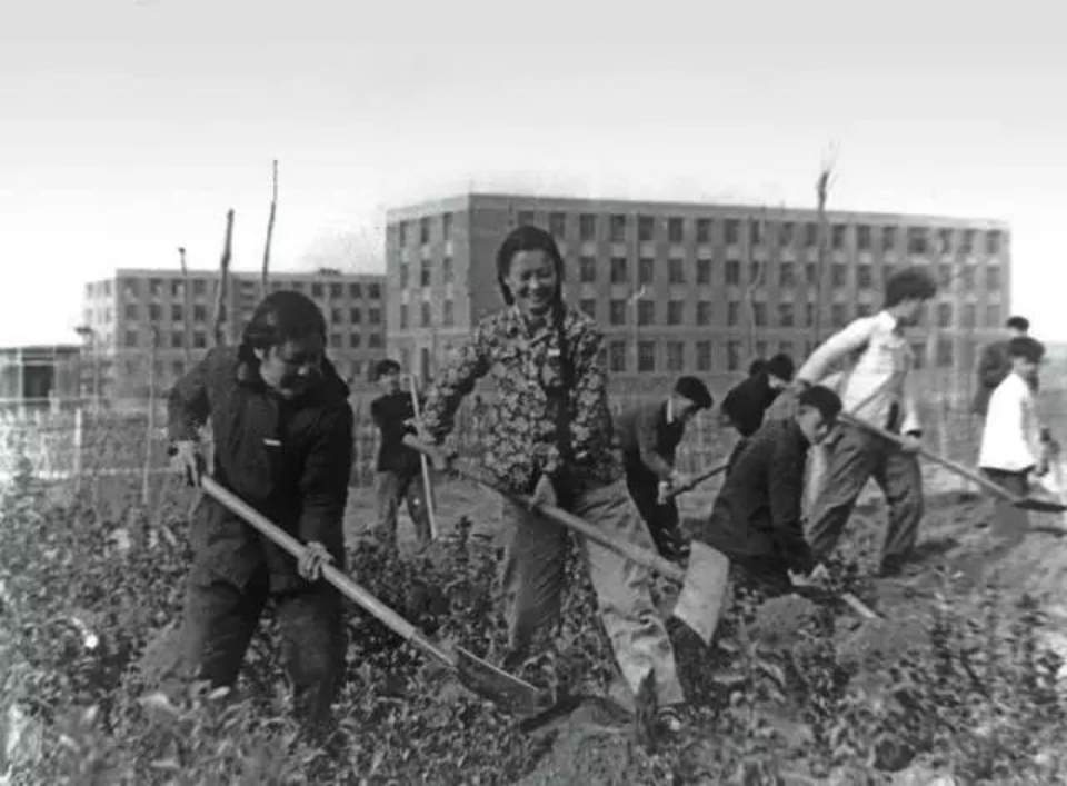 学习进行时｜根脉相连 薪火相传