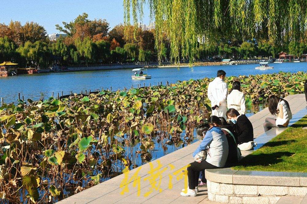 大明湖畔一池残荷映秋色