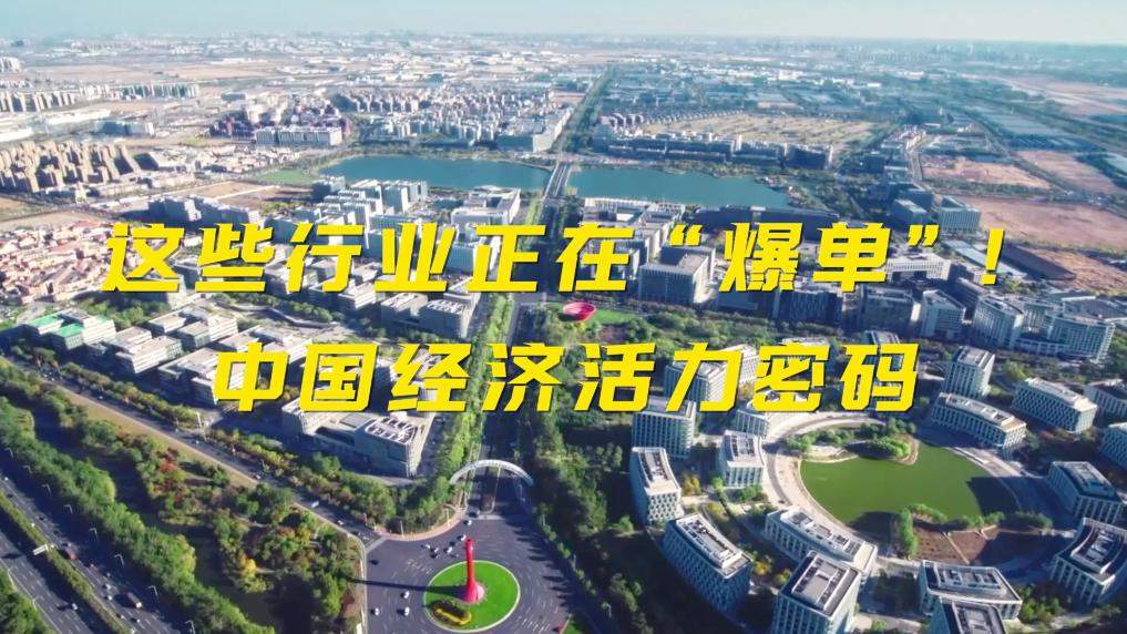 新华视点｜这些行业正在“爆单”！中国经济活力密码