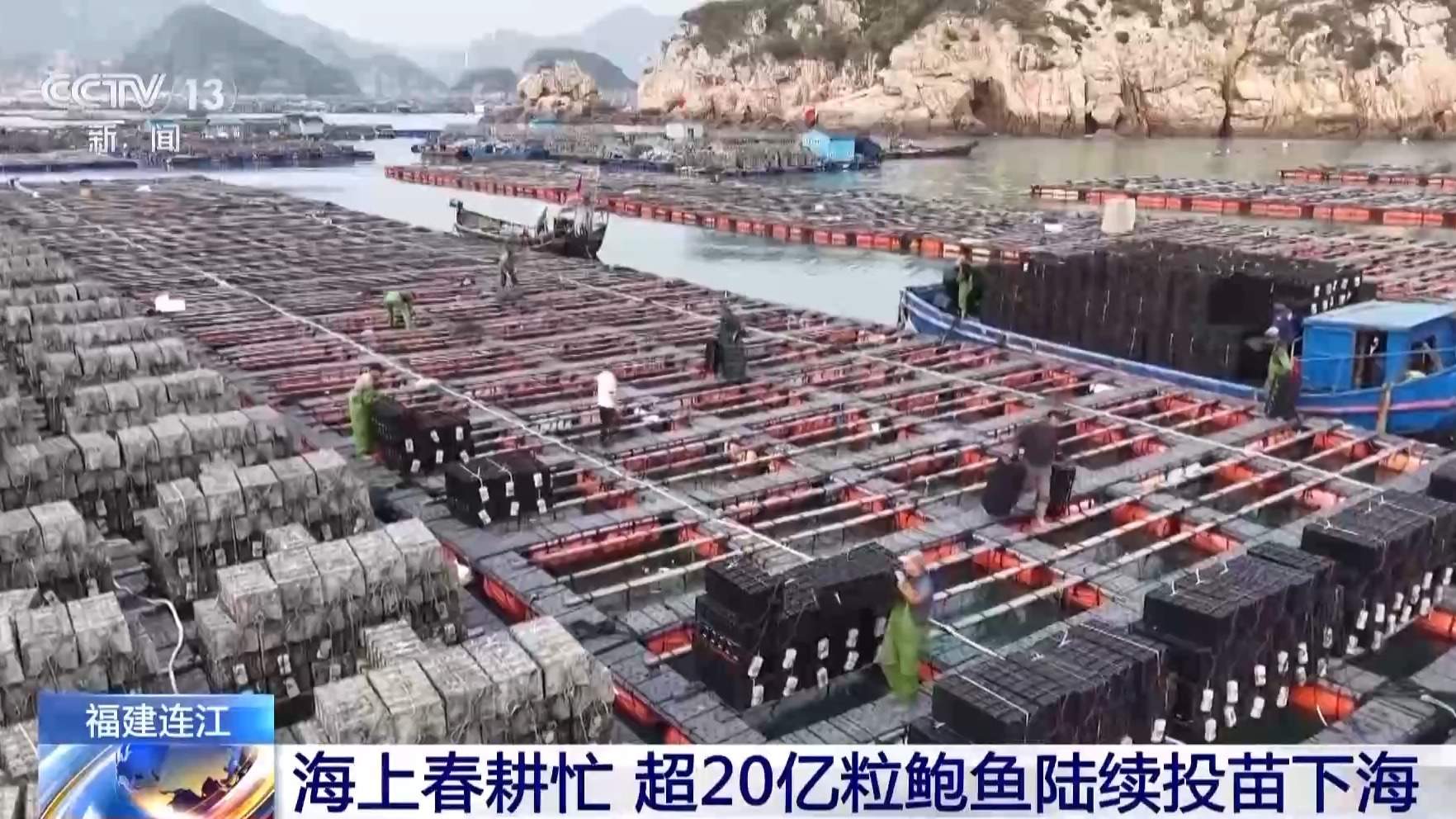 抢抓农时 各地按下春耕备耕“加速键”