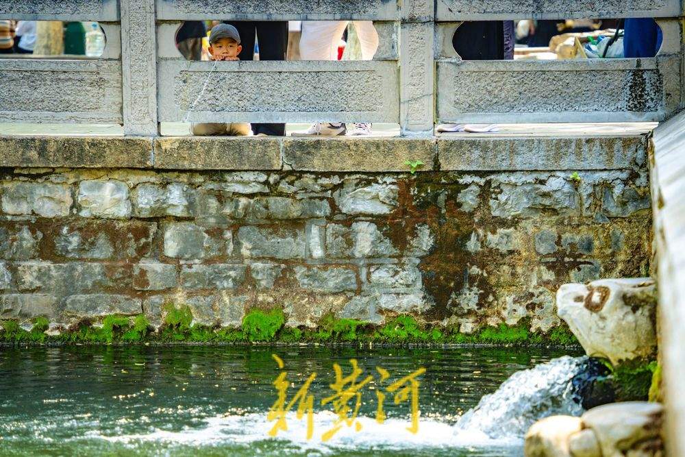 一年四季 泉在济南｜黑虎泉水位小幅回升 游人泉畔享清凉