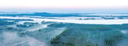 晨雾漫卷时 泉城入画来