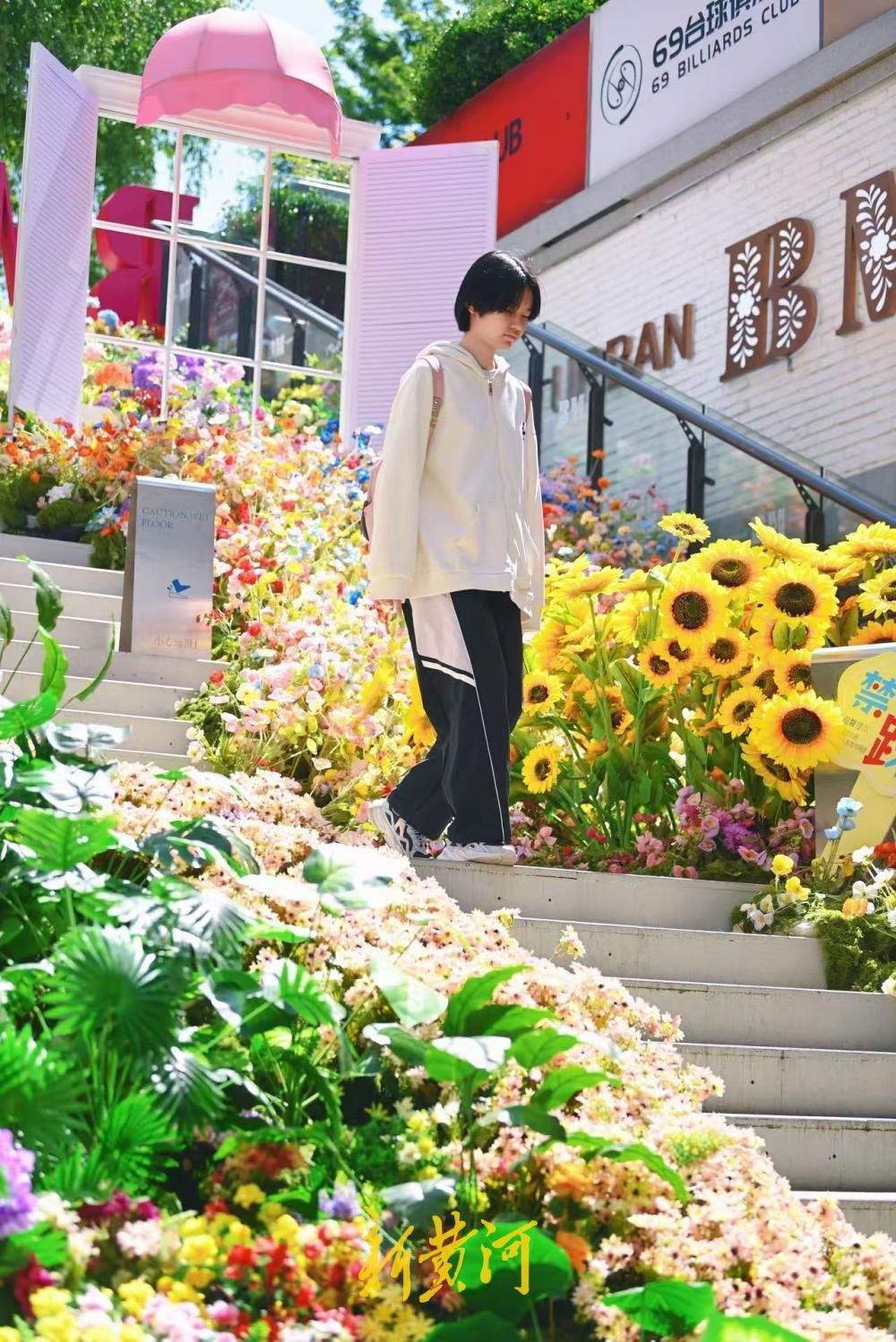 花境入画 济南老商埠“莫奈花园”上演初夏浪漫