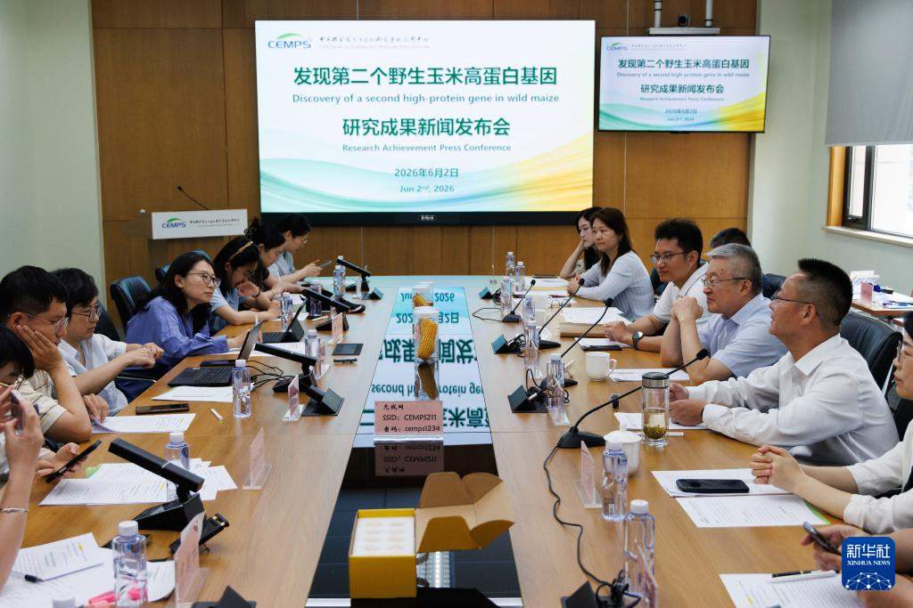 我国科研团队成功找回“丢失”的野生玉米基因