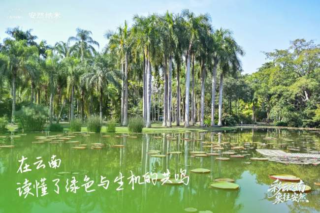 七彩云南见证!安然七彩生活,让奋斗者的荣光绽放七彩光芒