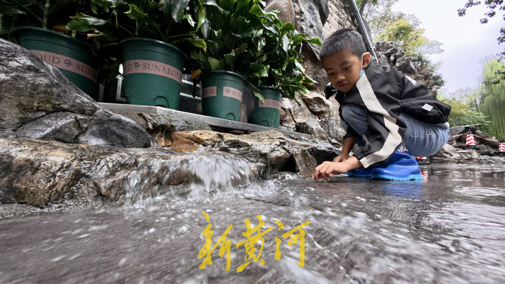 地下水位连涨，泉水漫出泉洞 ，现黑虎泉版“清泉石上流”