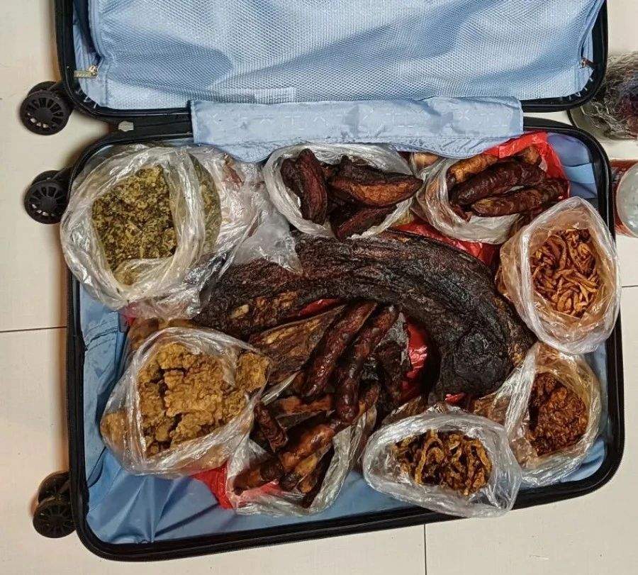 行李箱里“爸妈满满的爱”,都能带上火车吗?