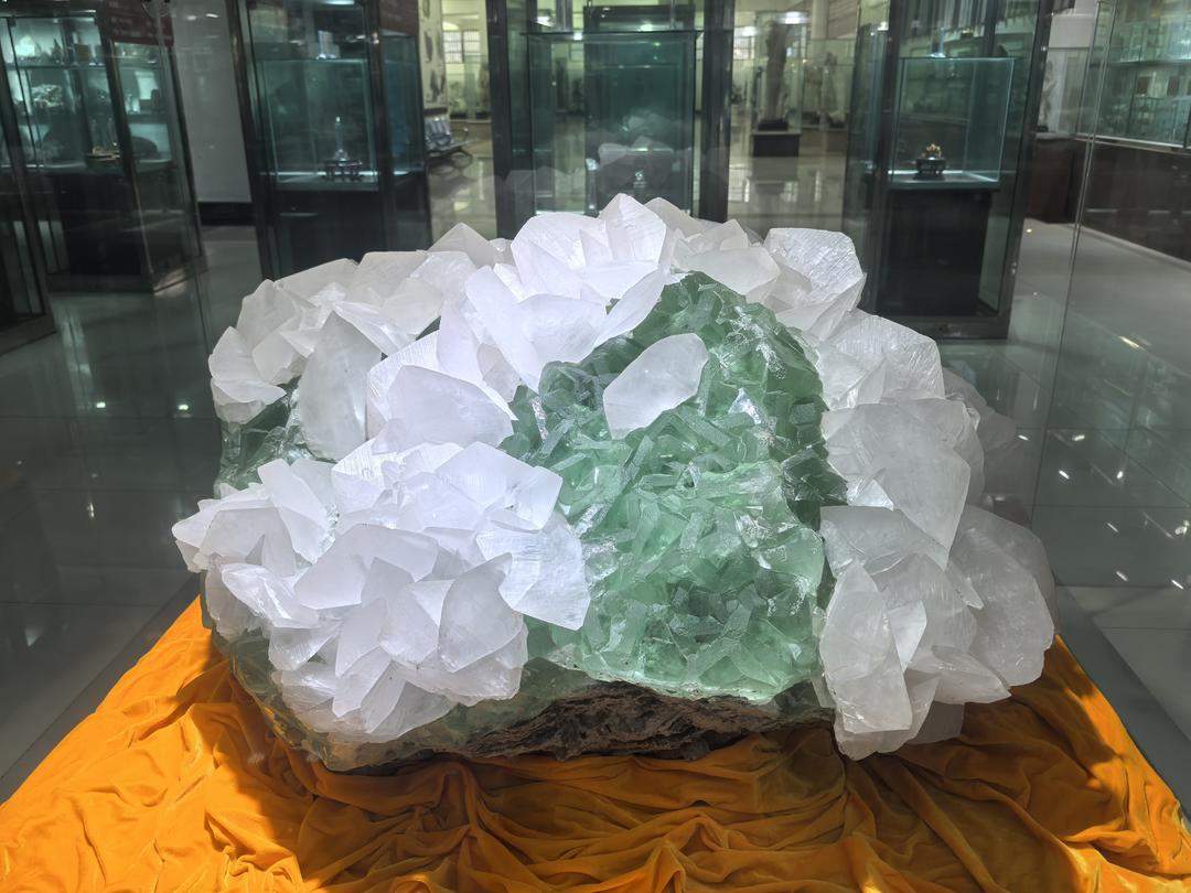 山东这个“隐藏款”博物馆 藏品规模碾压全球同类