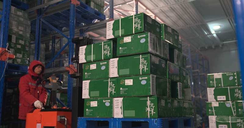 甘肃省临夏州丝路优选农业发展有限公司 陇上甄鲜踏丝路 东西部协作结硕果