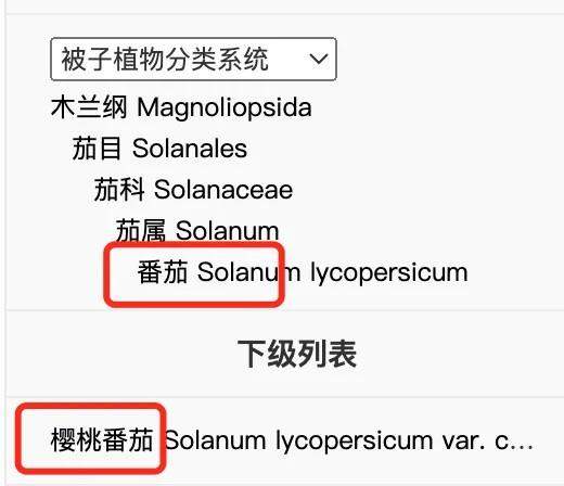 “天选减肥果”竟是它！低卡高纤还美味 多吃不怕胖