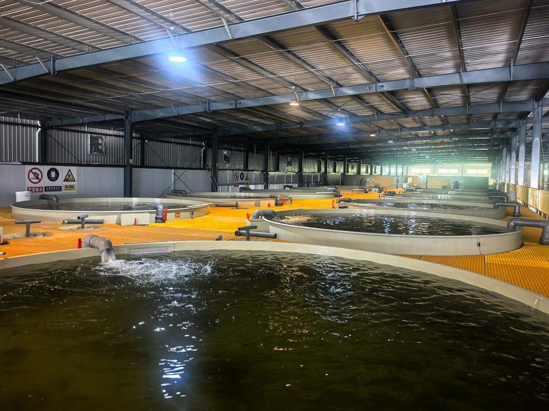 蹲点调查｜跳出帮扶看协同：强县不愿帮、弱县接不住？山东这样破局