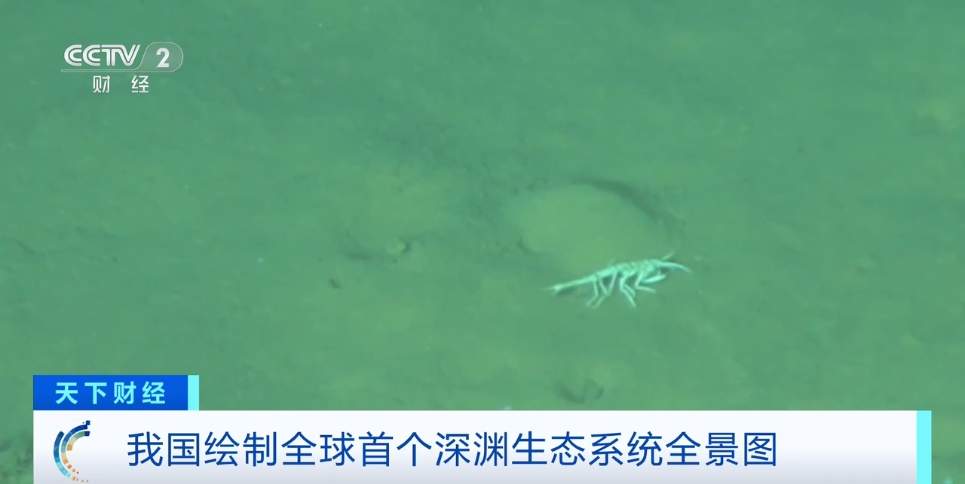 全球首个！我国科学家成功绘制出全球首个海洋最深生态系统图景