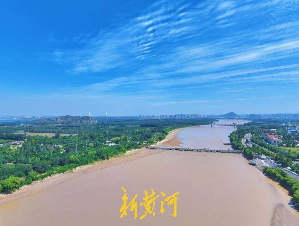 一年四季 泉在济南丨邂逅“泉城蓝”，黄河岸边绿意映蓝天