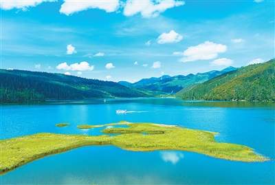 什么是“树胡子”？一起了解这位地球上最古老的“居住者”