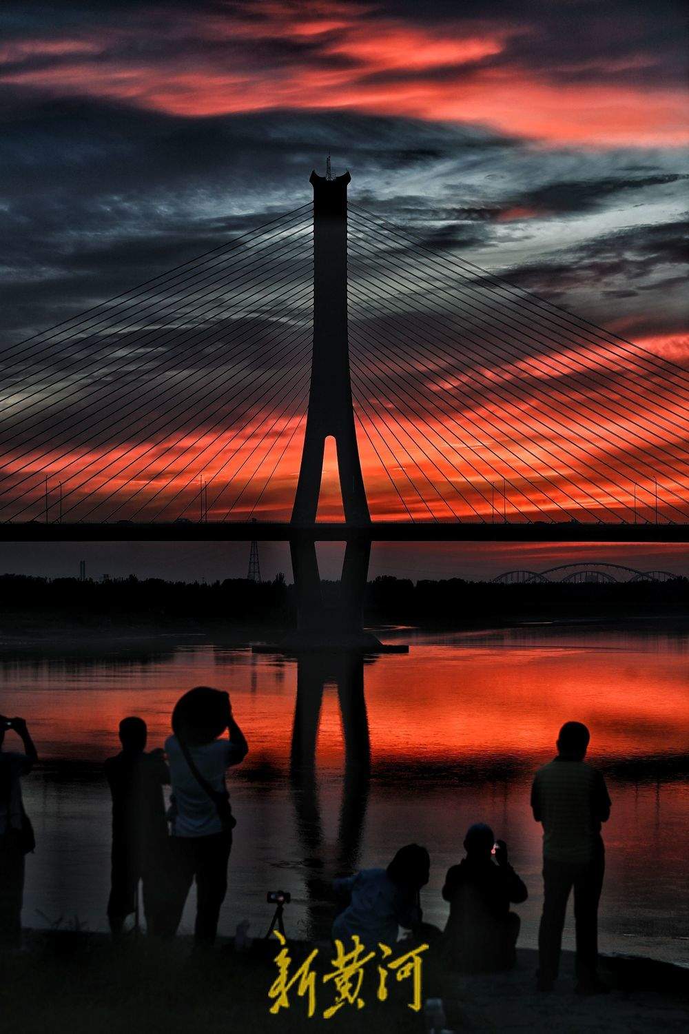 天然画卷！济南黄河岸畔现绝美晚霞
