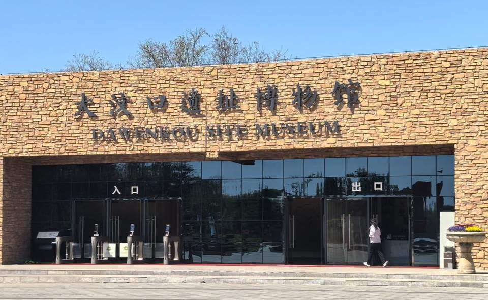 黄河行纪｜从大汶口遗址探寻海岱曙光