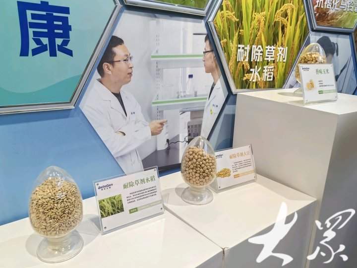 济南这家企业获全国首个植物基因编辑安全证书 把大豆油酸从20%提高到80%