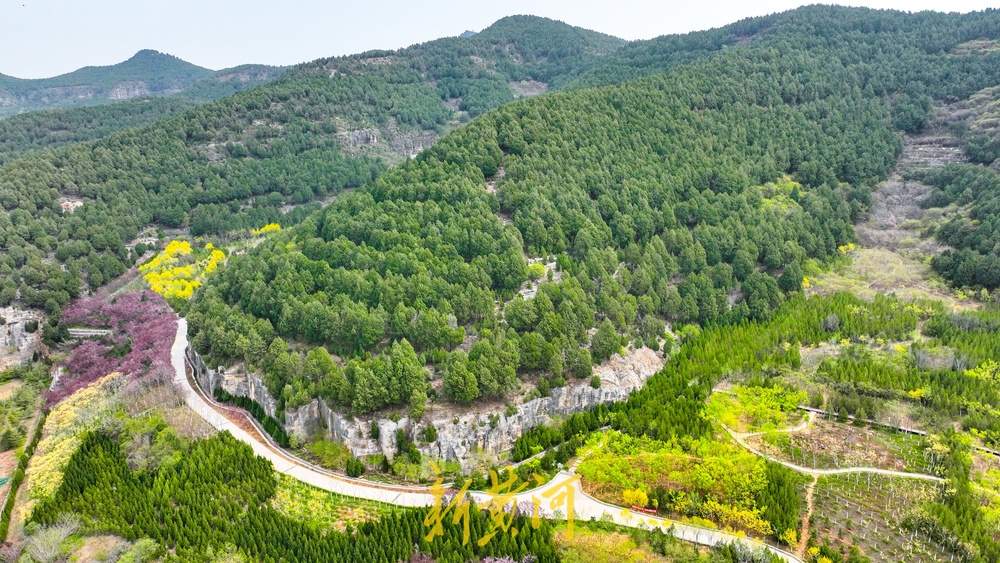 济南这处渣土山披绿变公园，成登山休闲好去处