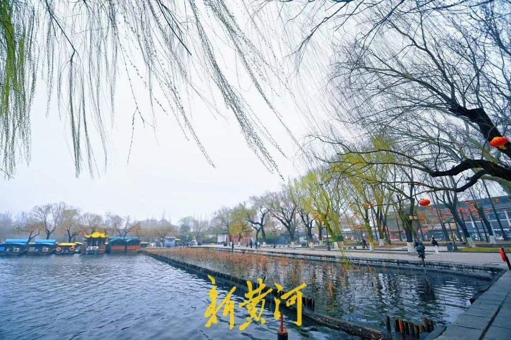 湖畔嫩柳吐新芽 绘就泉城初春画卷
