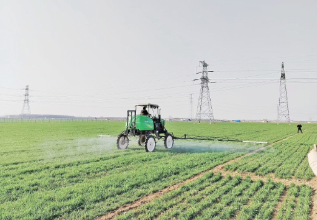 拧紧“科技密钥” 济南“稳粮故事”多