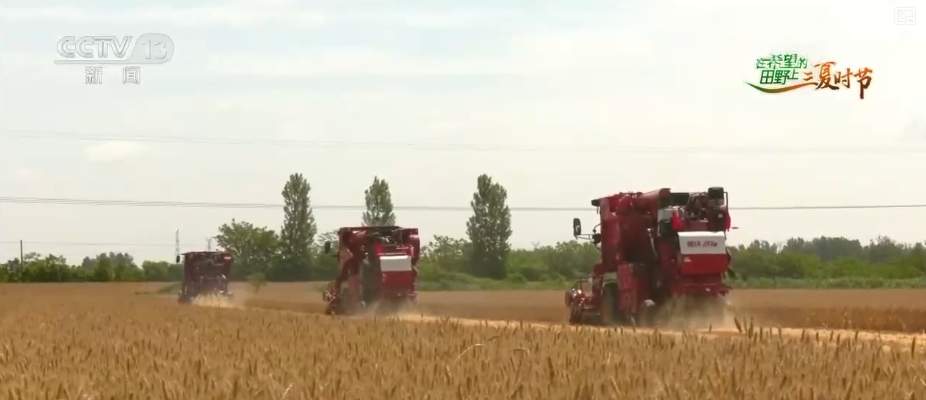 “九成熟，十成收；十成熟，一成丢” 