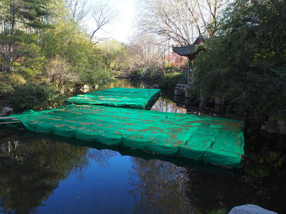 泉畔花灯装点美景，安全通道护航客流