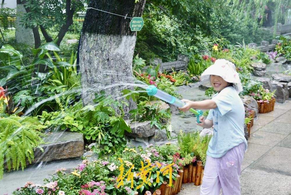 泉水景致焕新 解锁济南夏日泉水纳凉新体验