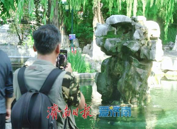 趵突泉水位再度攀升，“月牙”复涌引千泉竞喷