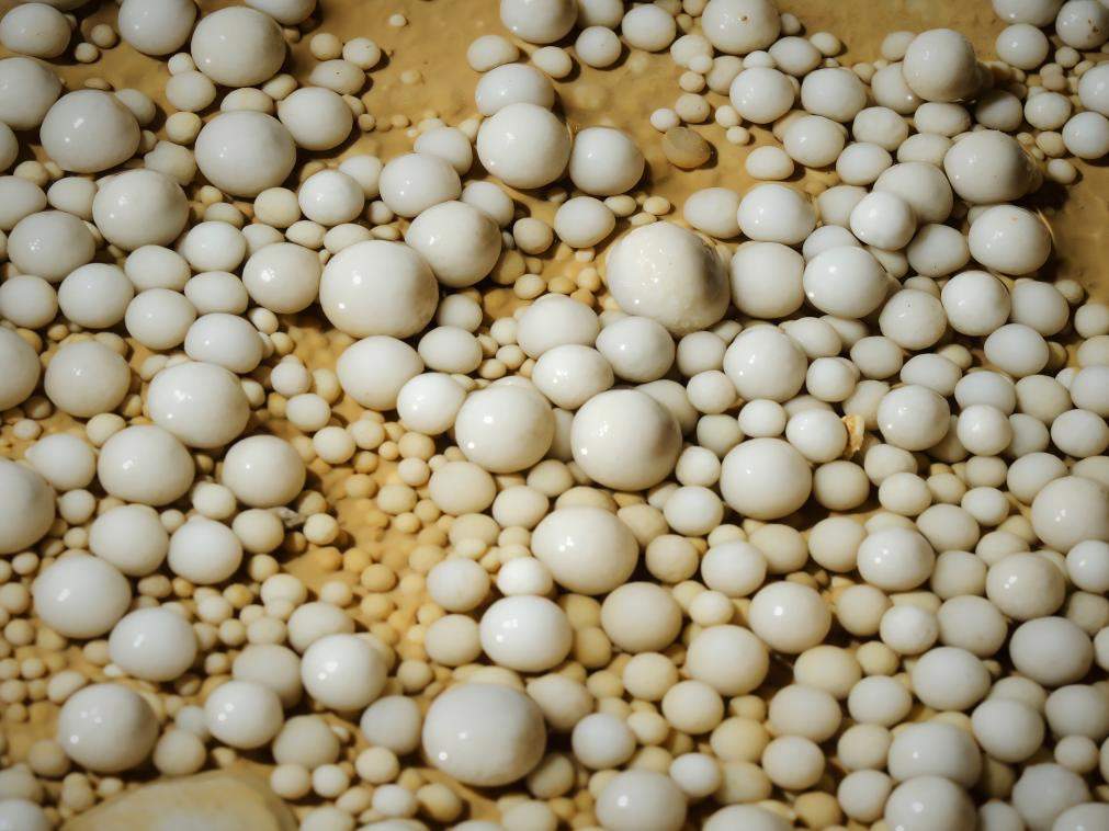 贵州遵义发现4.8亿年“地下水晶宫”