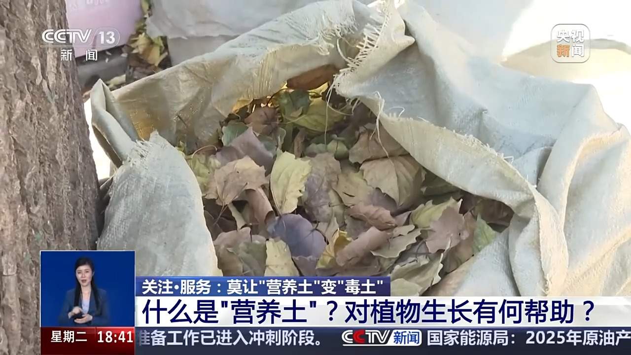 低价“营养土”重金属超标变“毒土” 专家支招教你正确选购