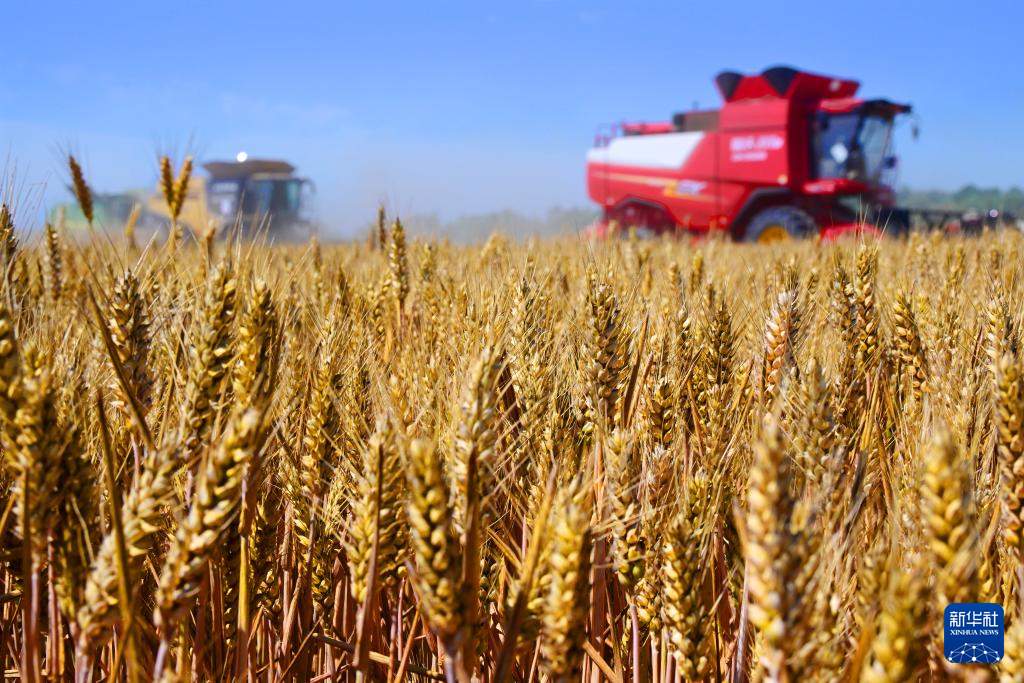 经济大省挑大梁 