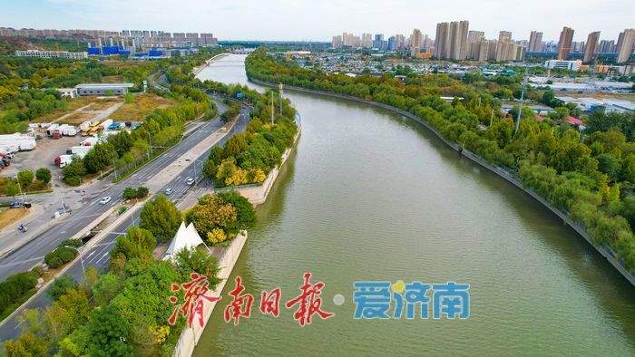 秋染清河岸，水韵入画来 济南小清河铺展秋日生态长卷