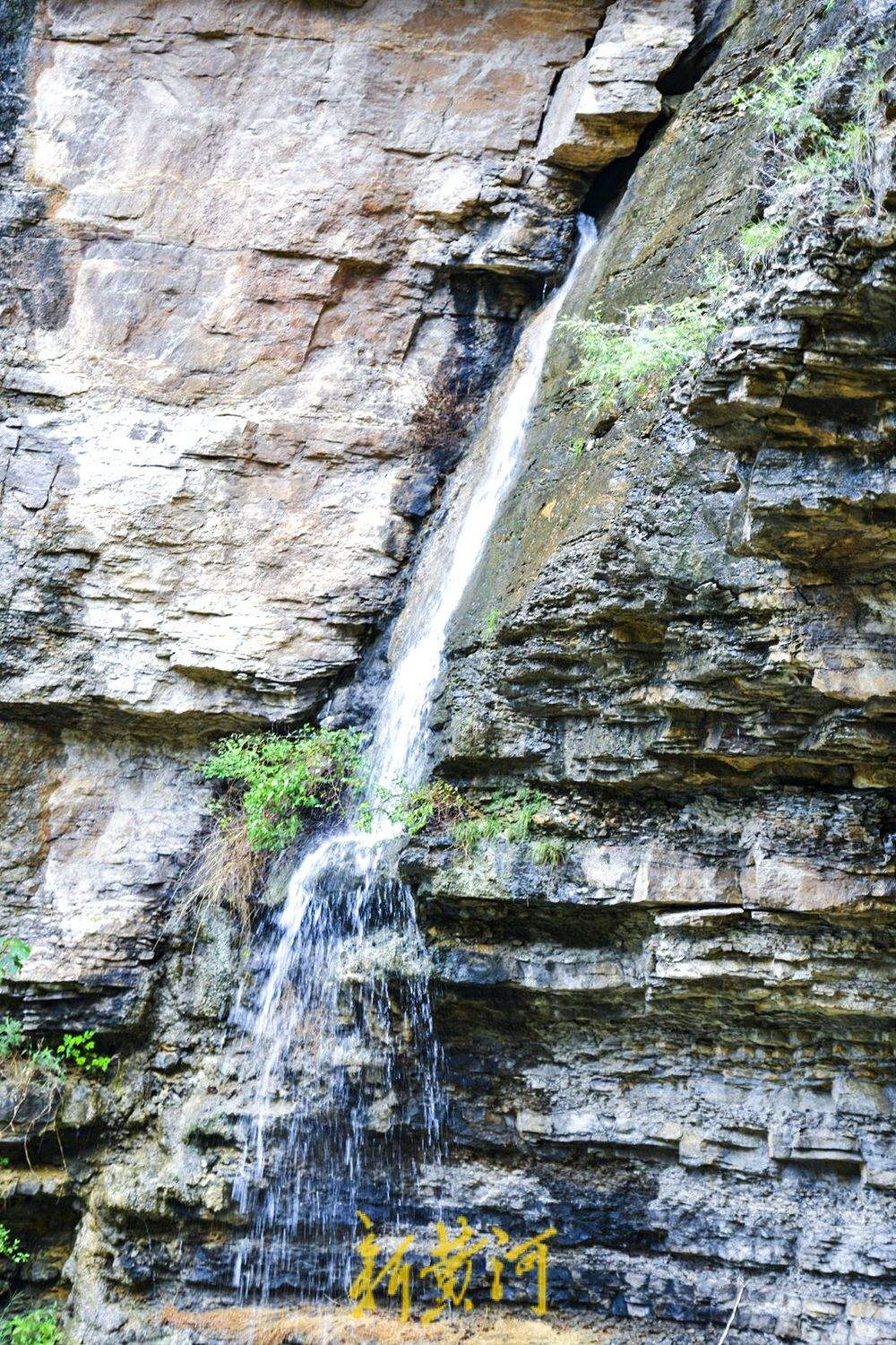 一年四季 泉在济南丨石崖峭壁汇聚山泉 龙洞风景区再现夏日限定美景