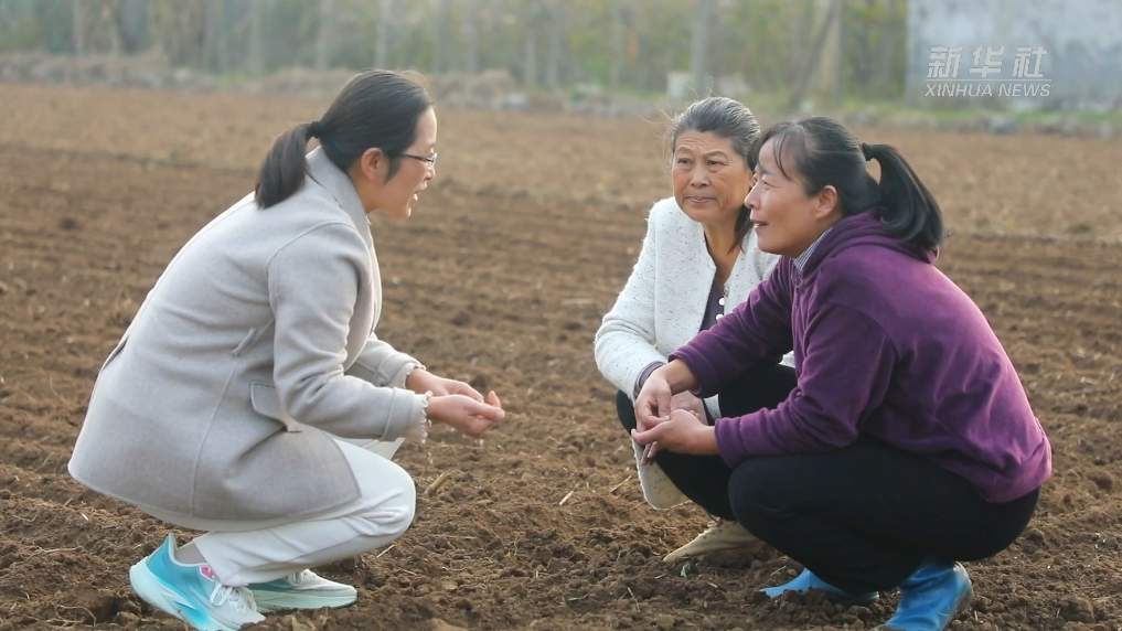 农技下乡助农科学抢播
