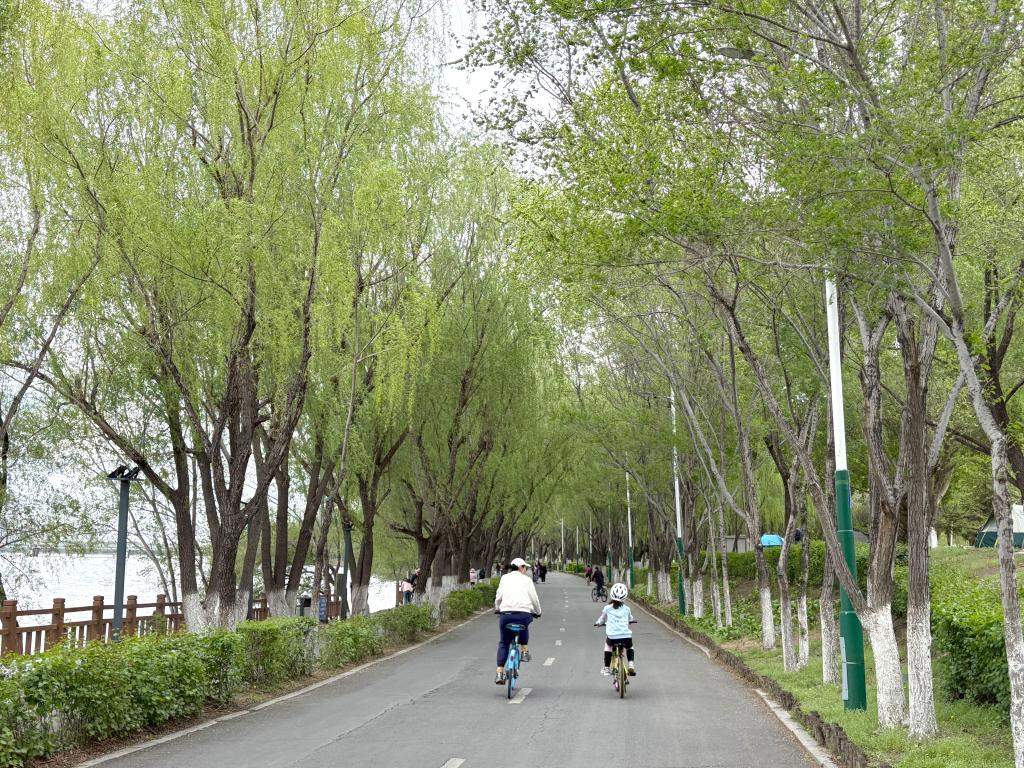 沉浸体验·AI上岗·治愈经济——这个“五一”文旅消费吹新风