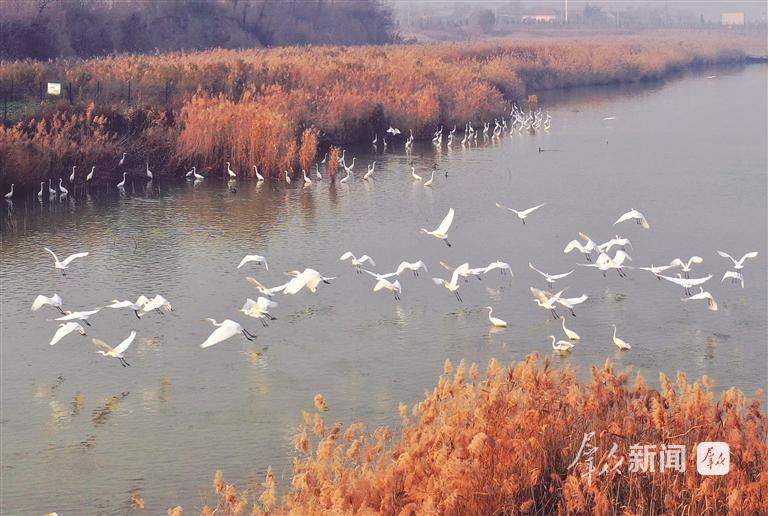 增强绿色发展新动能 描绘美丽陕西新画卷