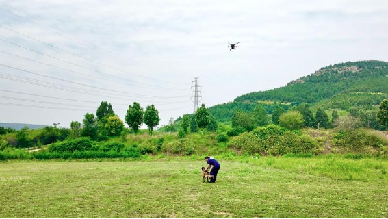 山东给搜救犬装上“基因芯片”与“空中天眼”