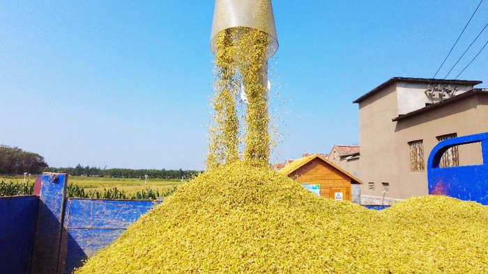 一号文件领航 泉城“三农”启新篇