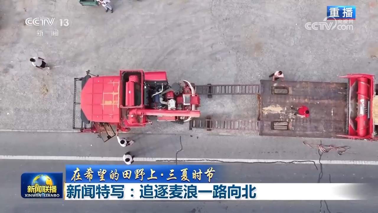 【在希望的田野上·三夏时节】追逐麦浪一路向北