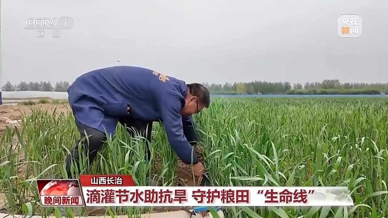 干热风来袭 如何抗旱保灌稳农业生产?