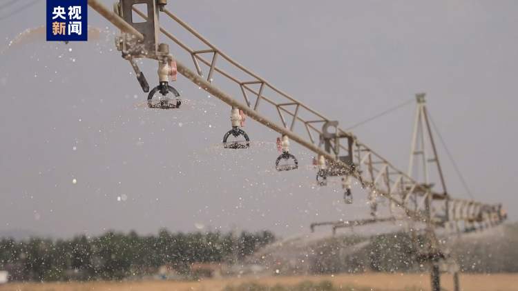 抗旱抢浇 造墒播种 山东多地全力抗旱保夏种