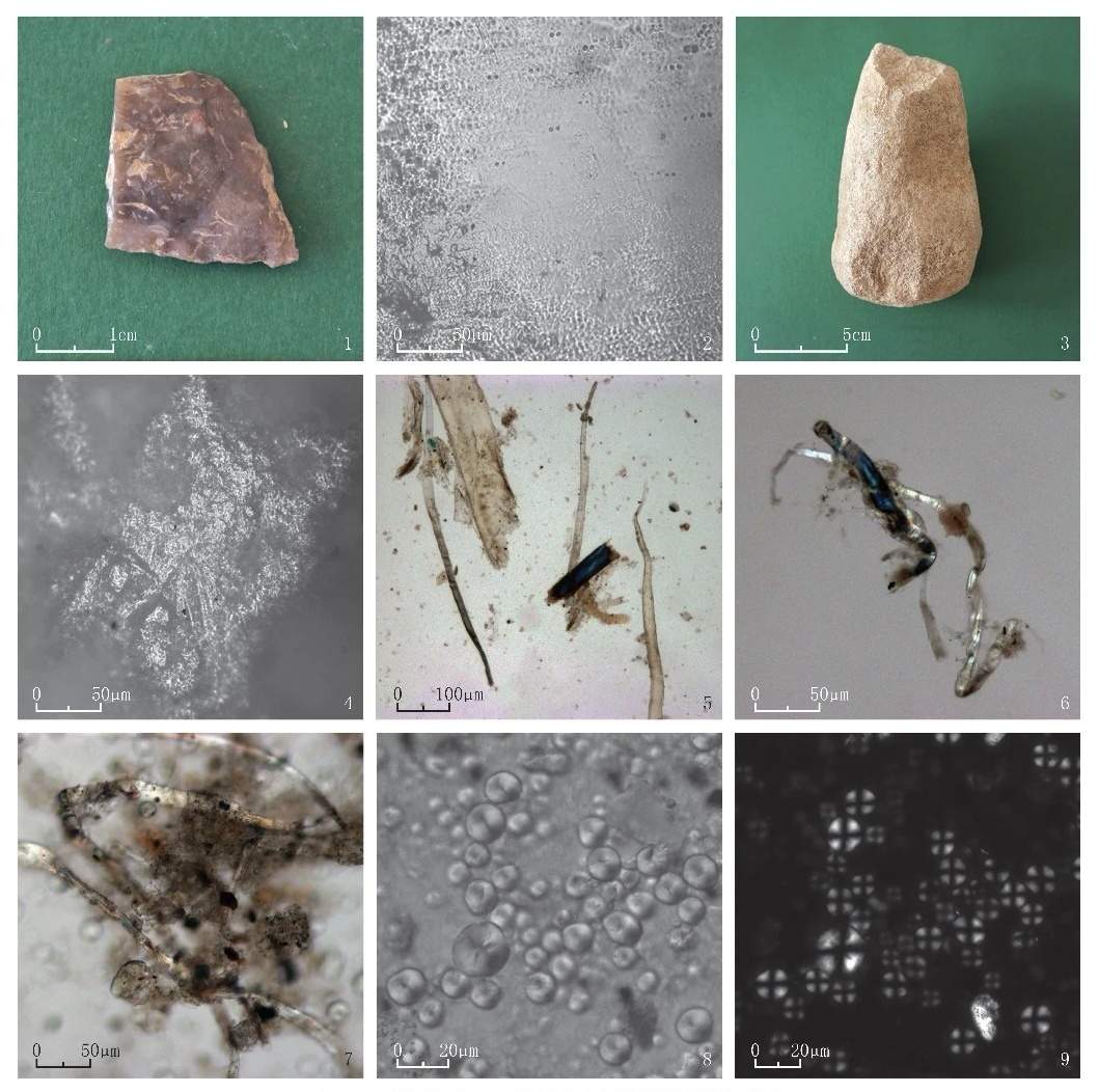 陕西榆林石峁遗址发现纤维遗存 揭示史前纺织生产技术