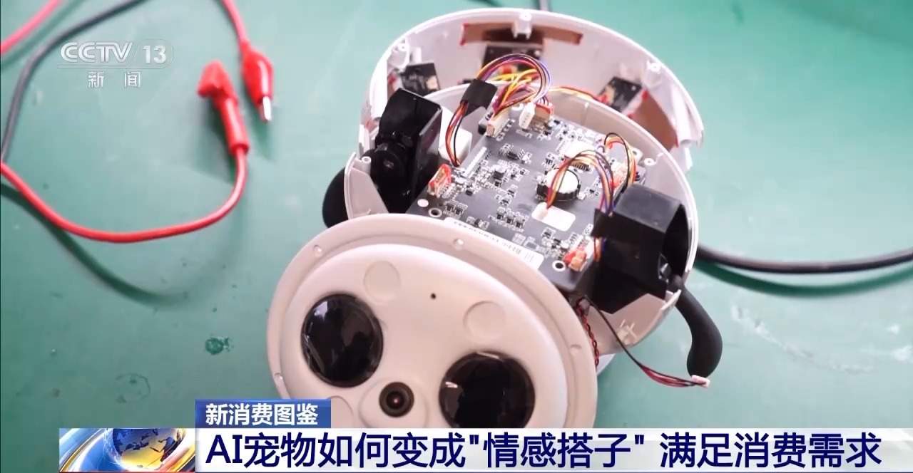 AI宠物、AI眼镜……“科技+”如何改变日常生活？