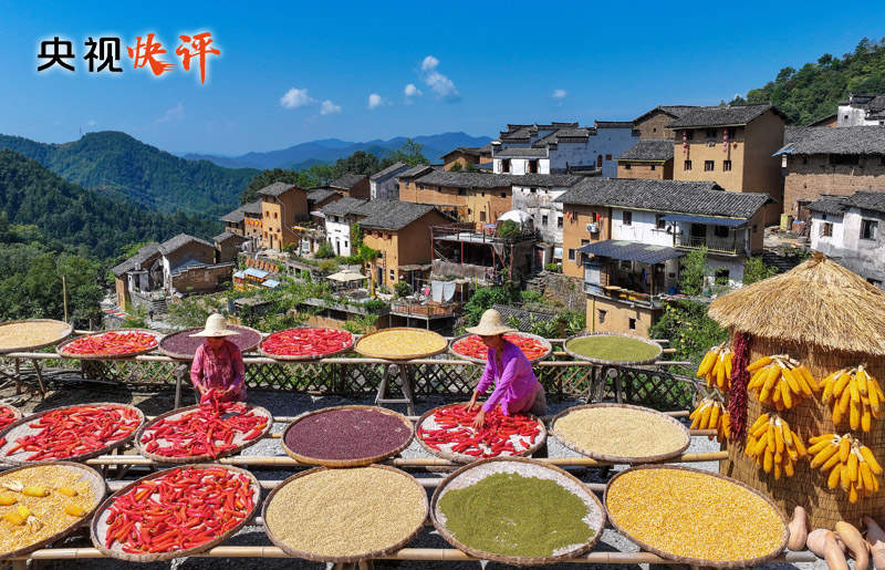 【央视快评】努力建设宜居宜业和美乡村 共同奔向中国式现代化的美好未来