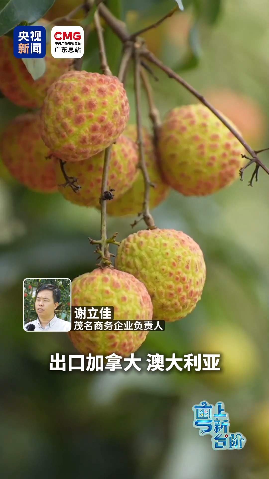 “粤”上新台阶丨从“三蚊鸡到巴西”到广货卖全球 粤西好物闯出大市场